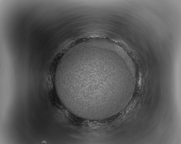 X0000087690774200705111320
