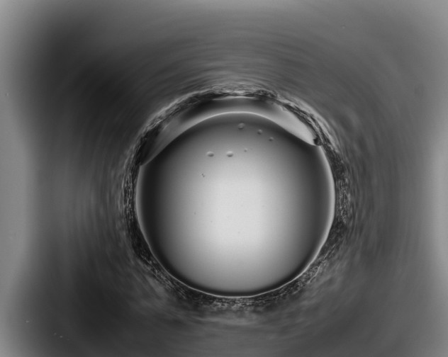 X0000087690775200705111319