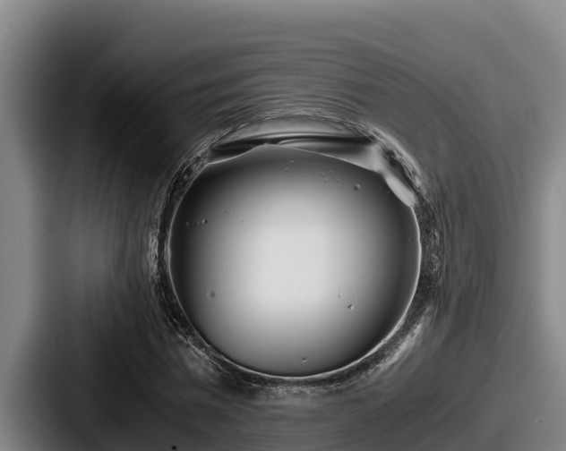 X0000087690777200705111319