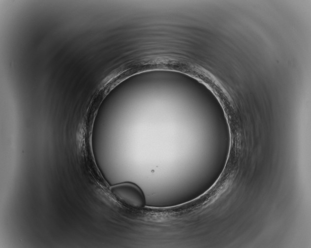 X0000087690778200705111319