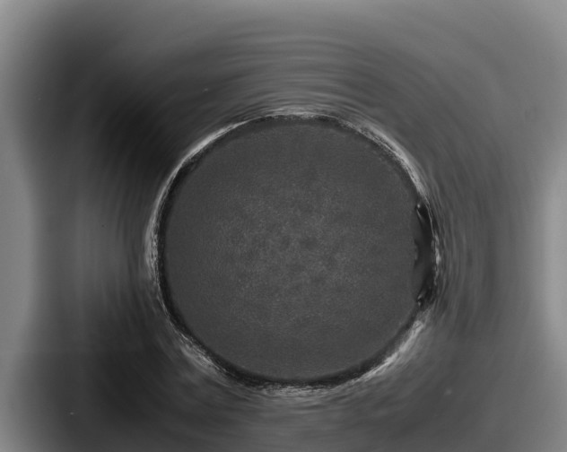 X0000087690779200705111319