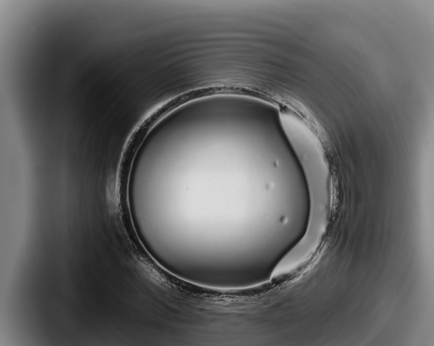 X0000087690780200705111319