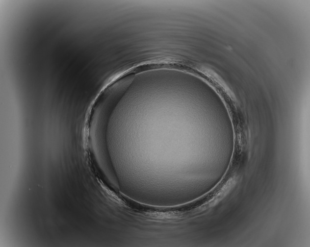 X0000087690781200705111319