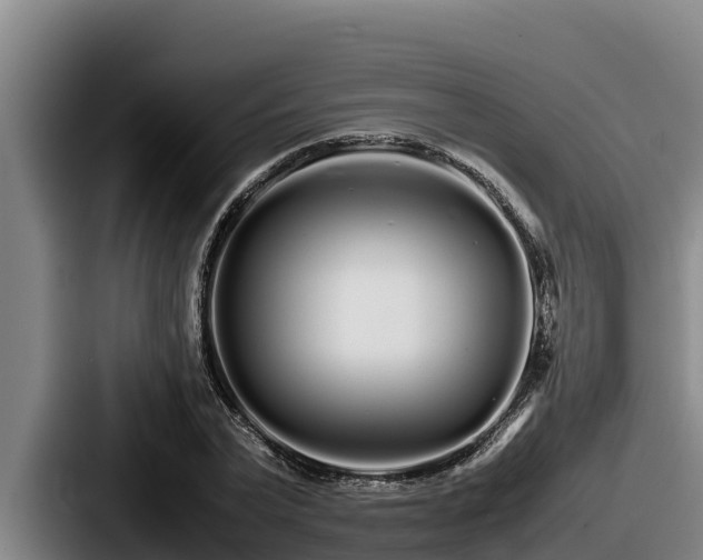 X0000087690783200705111319