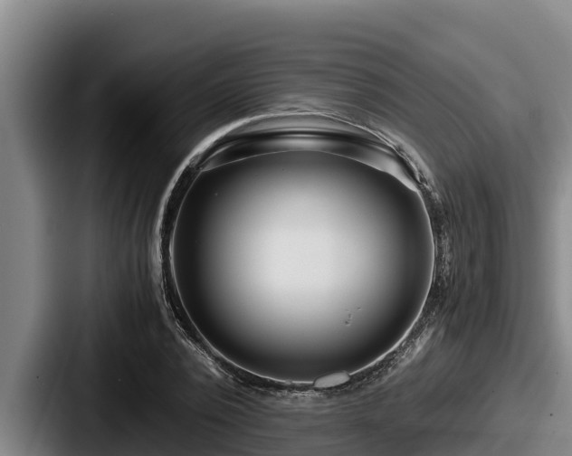 X0000087690784200705111319