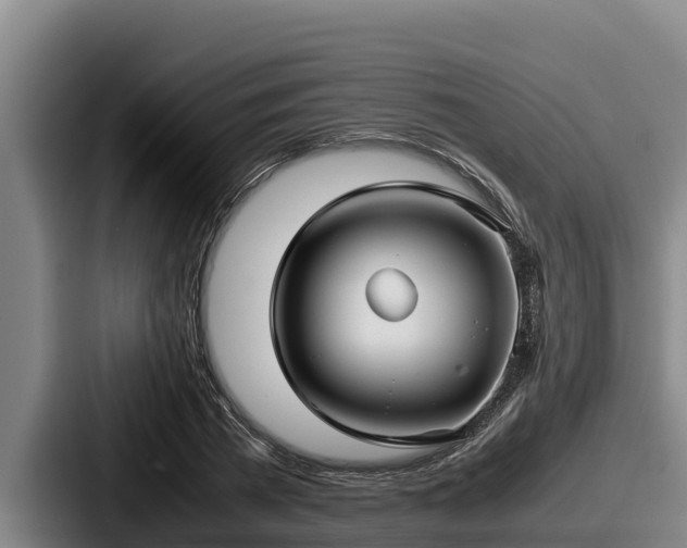 X0000087690785200705111319