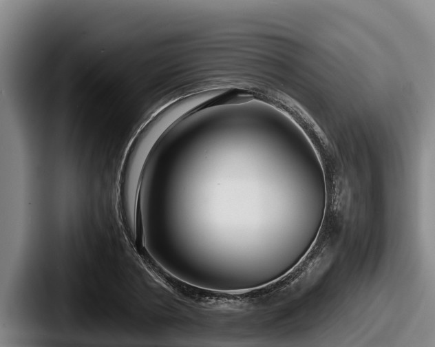 X0000087690786200705111319