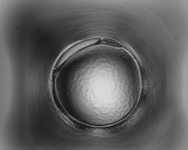 X0000087690787200705111319