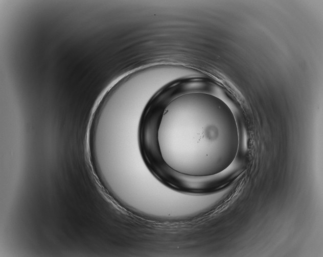 X0000087690788200705111319