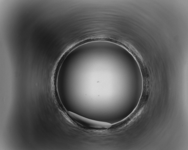 X0000087690789200705111319
