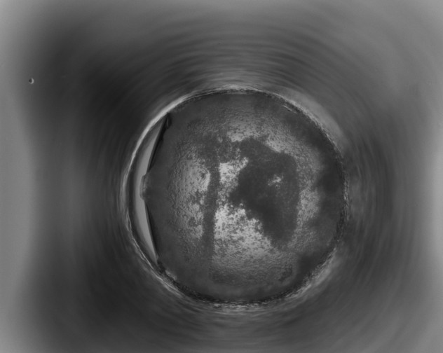 X0000087690790200705111319