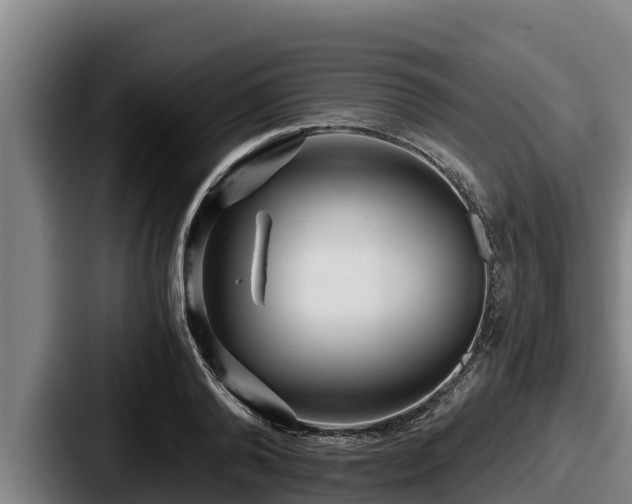 X0000087690792200705111319