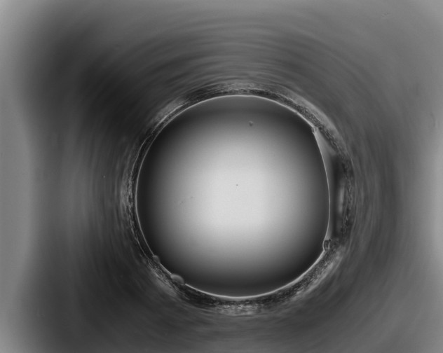 X0000087690793200705111319