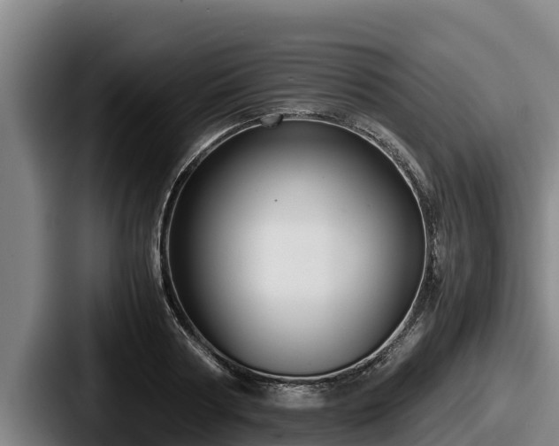 X0000087690794200705111319