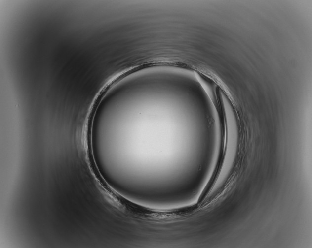X0000087690795200705111319