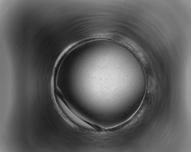 X0000087690796200705111319
