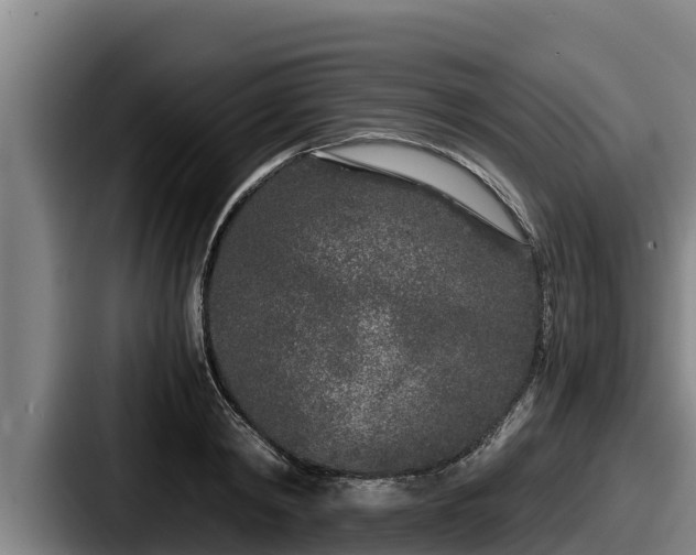X0000087690798200705111319