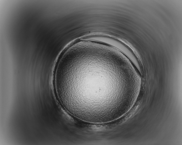 X0000087690799200705111319