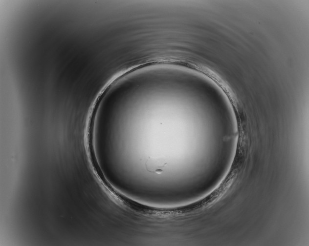 X0000087690803200705111319