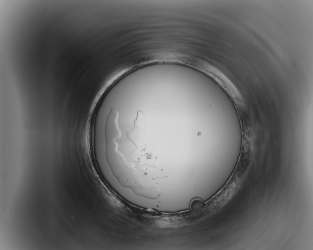 X0000087690804200705111319