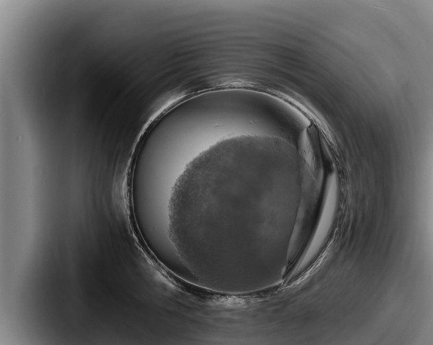 X0000087690806200705111319