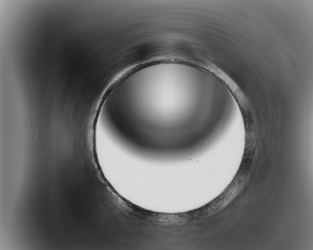 X0000087690807200705111319