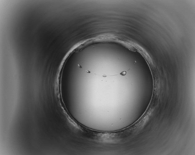 X0000087690808200705111319
