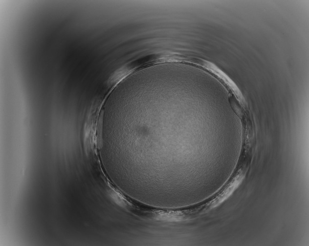 X0000087690809200705111319