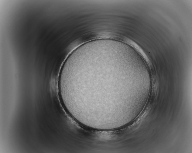 X0000087690810200705111319