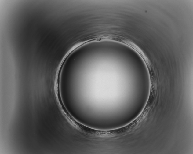 X0000087690811200705111319