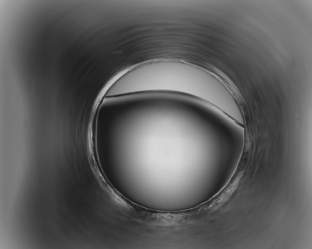 X0000087690812200705111319