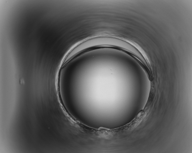X0000087690815200705111319