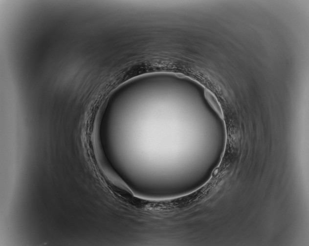 X0000087690817200705111318