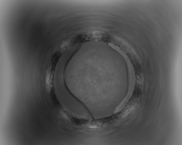 X0000087690818200705111318