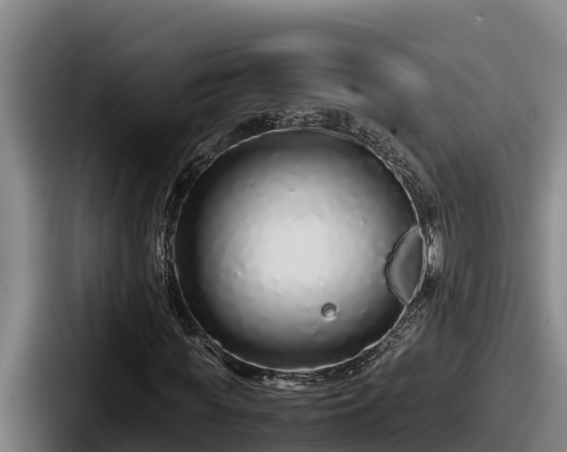 X0000087690819200705111318