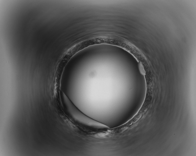 X0000087690822200705111318