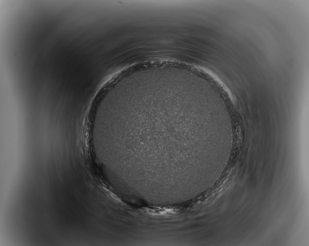 X0000087690823200705111318