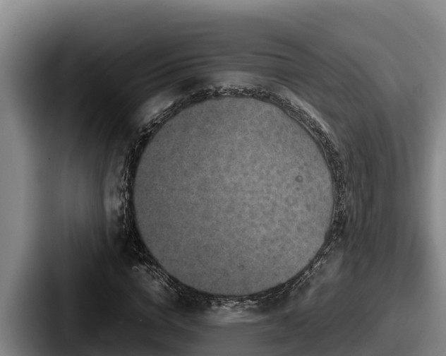 X0000087690824200705111318