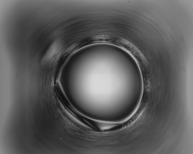 X0000087690825200705111318