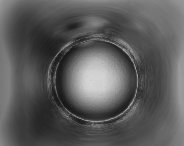 X0000087690827200705111318