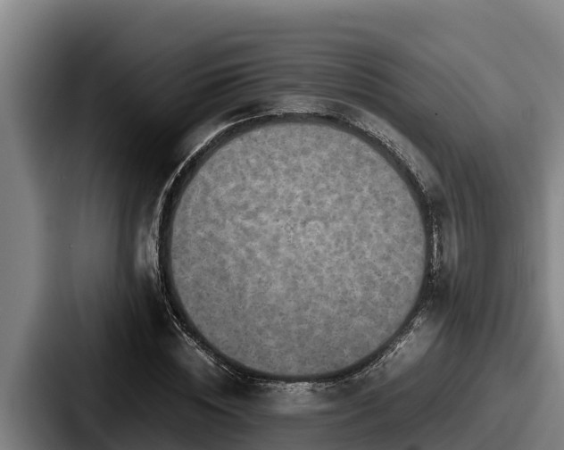 X0000087690828200705111318
