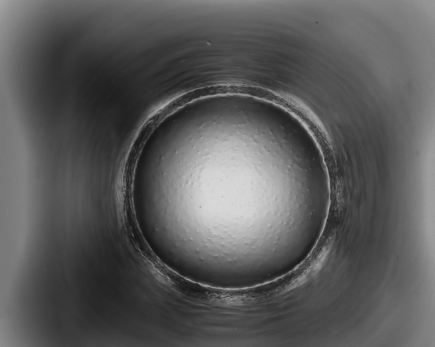 X0000087690831200705111319