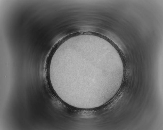X0000087690832200705111319