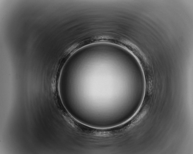 X0000087690833200705111319