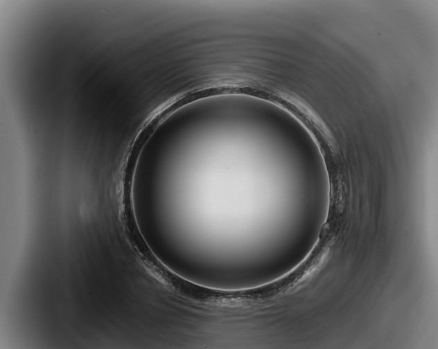 X0000087690834200705111319
