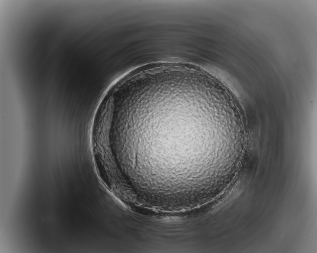 X0000087690839200705111319