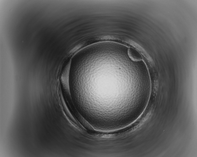 X0000087690841200705111319