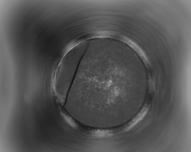 X0000087690842200705111319