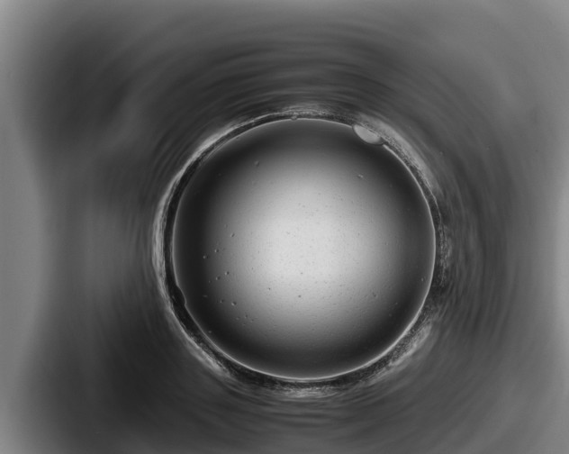 X0000087690843200705111319