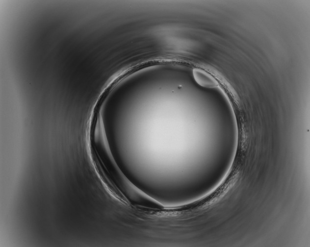 X0000087690845200705111319